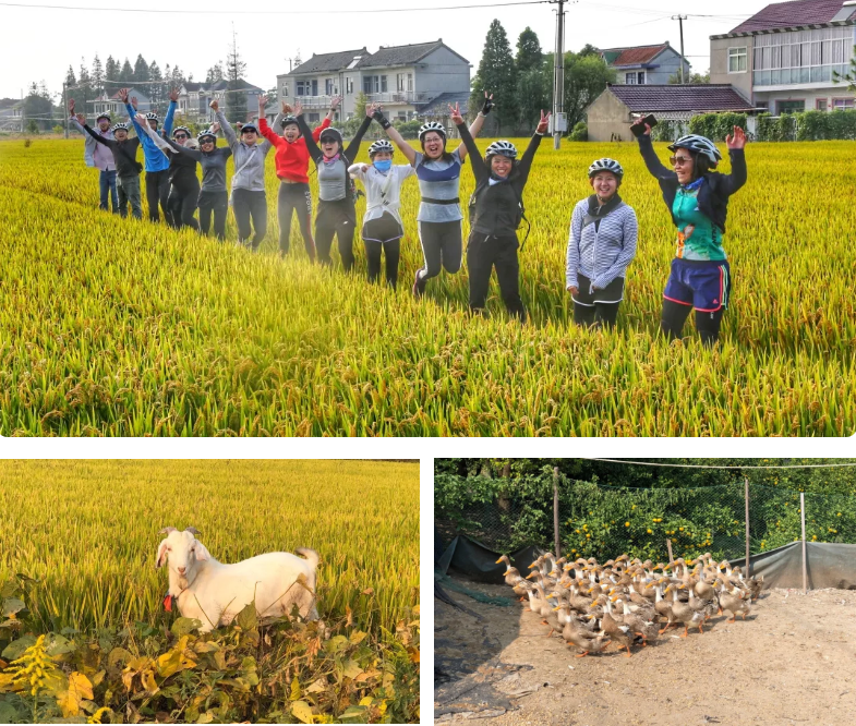 1575274137591816.png image.png