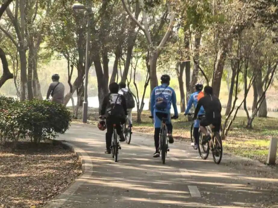 1762408301567738.jpg db0baaf8bb1ba2e2600e14281b17f99b.jpg